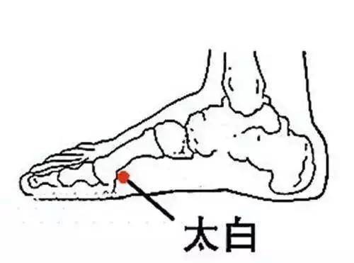 保尚元养生