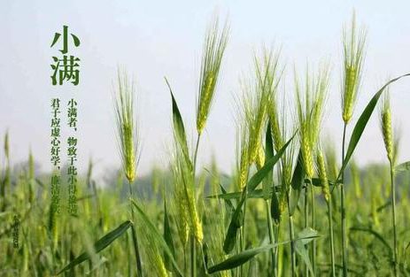 保尚元艾灸堂养生