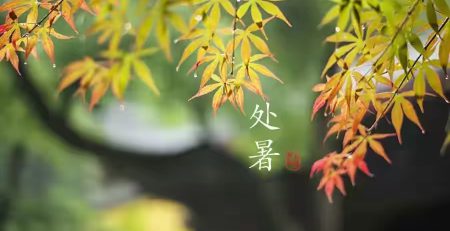 保尚元艾灸堂节气