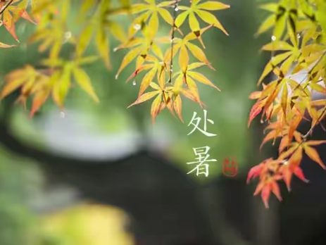 保尚元艾灸堂节气